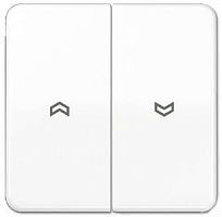 Лицевая панель Jung CD500 для 2-кл. выключателя жалюзи белый картинка